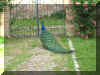 IMG_1502.JPG (61739 byte)